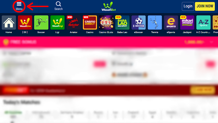 Wasafibet bookmaker website range