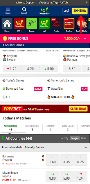Wasafibet bookmaker's website