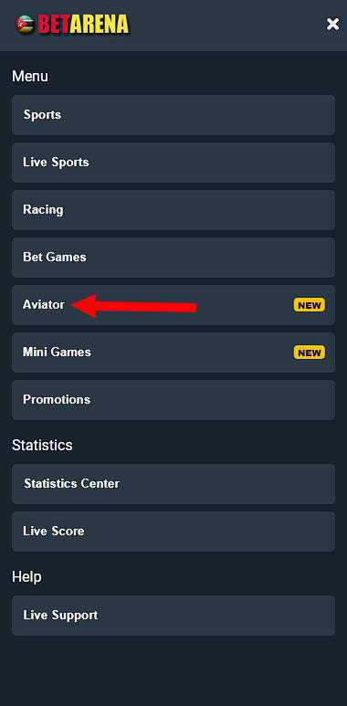 Aviator section