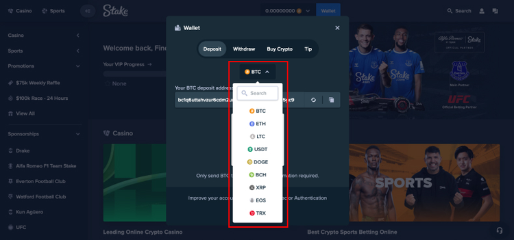 Payment methods at the bookmaker cryptocurrencies e-wallets