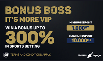 Vip Bonus