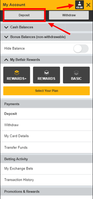 Deposit money with the Betfair betting company